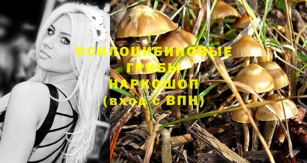 дмт Алексеевка