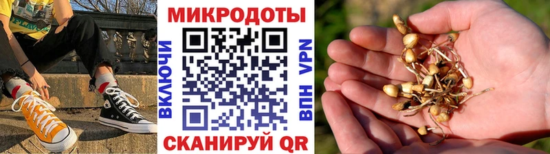 Галлюциногенные грибы Psilocybine cubensis  Волгодонск 